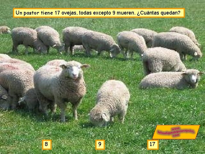 Un pastor tiene 17 ovejas, todas excepto 9 mueren. ¿Cuántas quedan? 8 9 17 Un pastor tiene 17 ovejas, todas excepto 9 mueren. ¿Cuántas quedan? 8 9 17