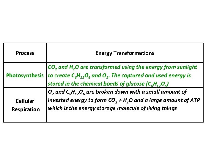 Process Energy Transformations CO 2 and H 2 O are transformed using the energy