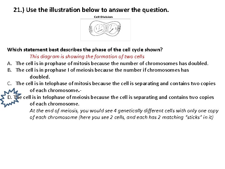 21. ) Use the illustration below to answer the question. Which statement best describes