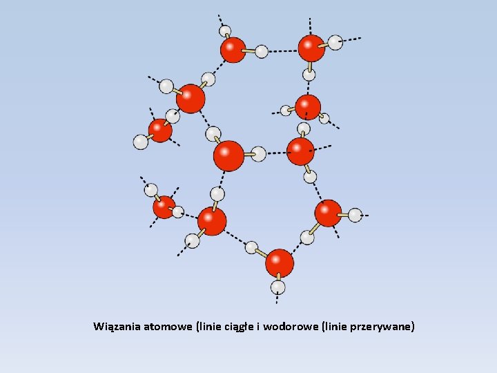 Wiązania atomowe (linie ciągłe i wodorowe (linie przerywane) 