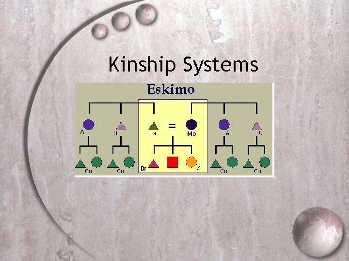 Kinship Systems 