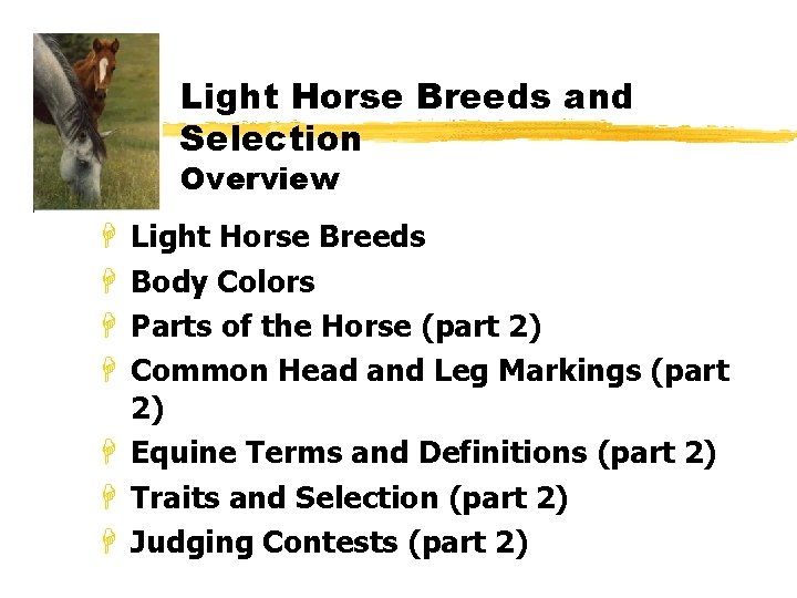 Light Horse Breeds and Selection Part 1 Light