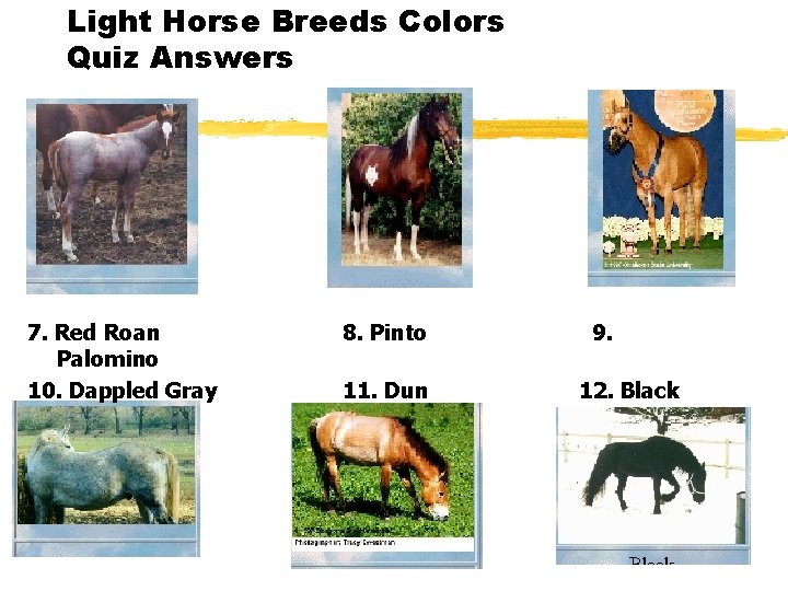 Light Horse Breeds Colors Quiz Answers 7. Red Roan Palomino 10. Dappled Gray 8.