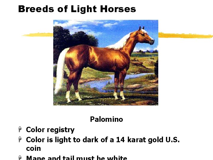 Breeds of Light Horses Palomino H Color registry H Color is light to dark