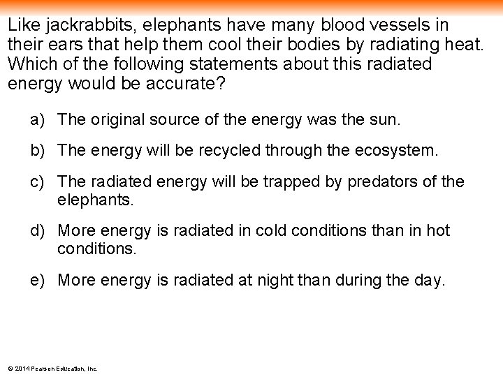 Like jackrabbits, elephants have many blood vessels in their ears that help them cool