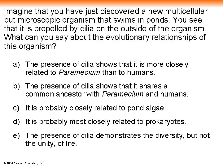 Imagine that you have just discovered a new multicellular but microscopic organism that swims