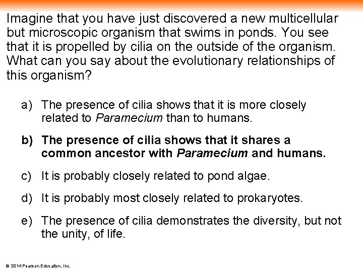 Imagine that you have just discovered a new multicellular but microscopic organism that swims