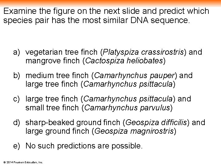 Examine the figure on the next slide and predict which species pair has the