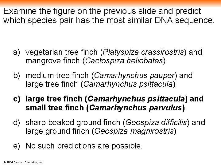 Examine the figure on the previous slide and predict which species pair has the