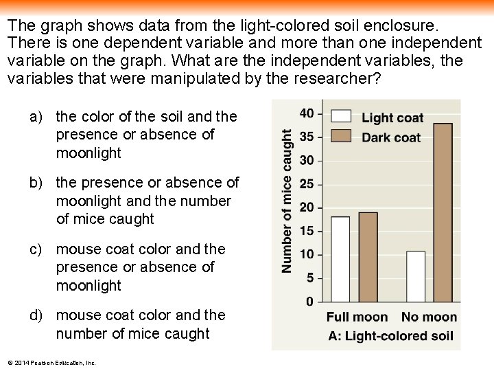 The graph shows data from the light-colored soil enclosure. There is one dependent variable