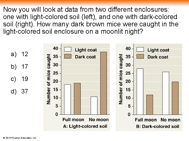 Now you will look at data from two different enclosures: one with light-colored soil