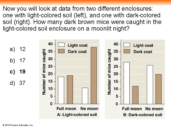 Now you will look at data from two different enclosures: one with light-colored soil