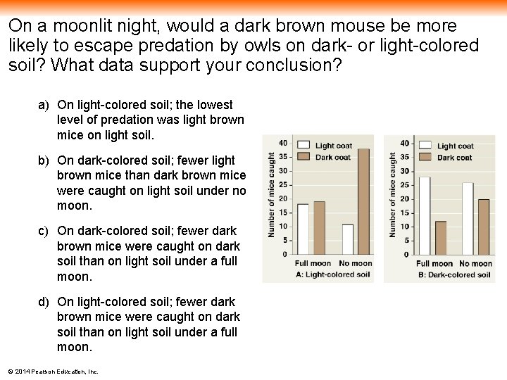 On a moonlit night, would a dark brown mouse be more likely to escape