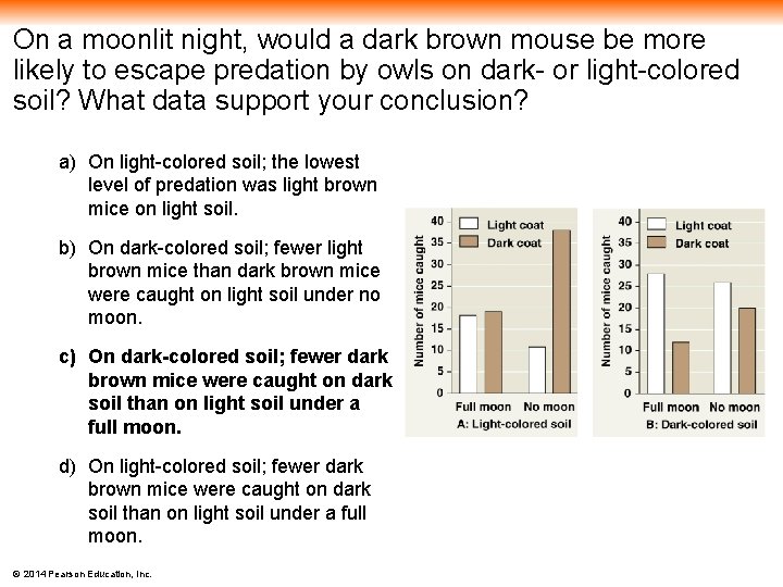 On a moonlit night, would a dark brown mouse be more likely to escape