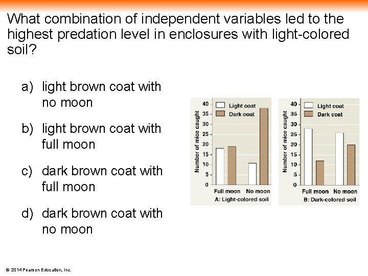 What combination of independent variables led to the highest predation level in enclosures with