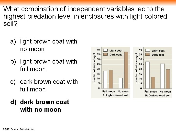 What combination of independent variables led to the highest predation level in enclosures with