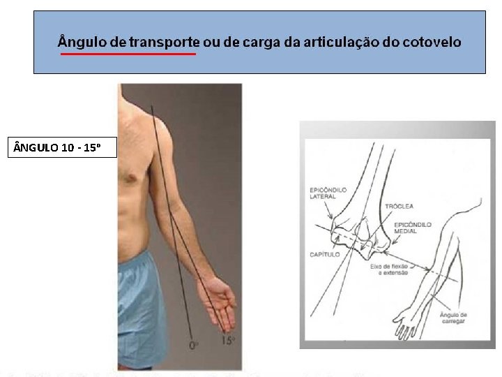  ngulo de transporte ou de carga da articulação do cotovelo NGULO 10 -