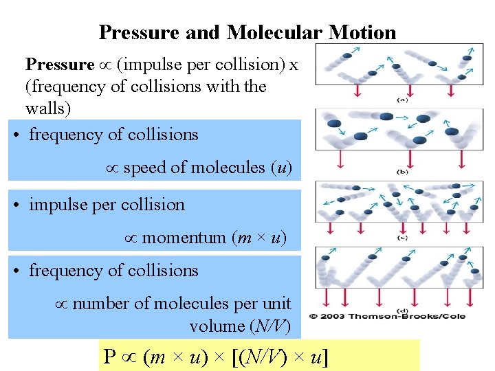 Pressure and Molecular Motion Pressure (impulse per collision) x (frequency of collisions with the