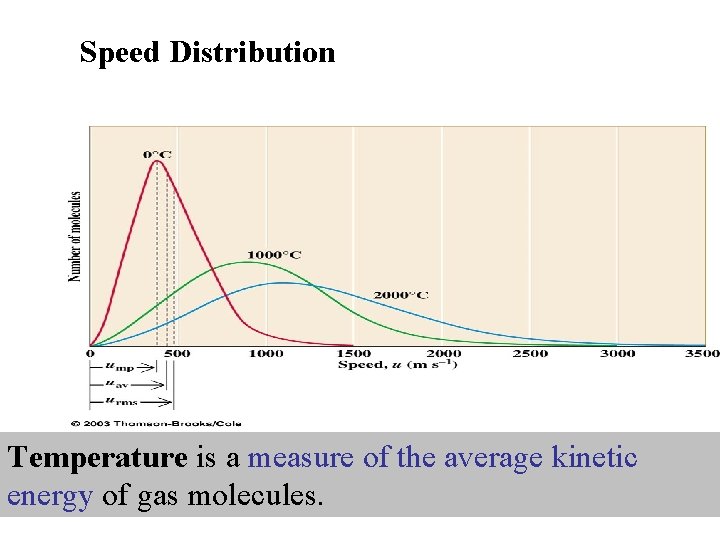 Speed Distribution Temperature is a measure of the average kinetic energy of gas molecules.