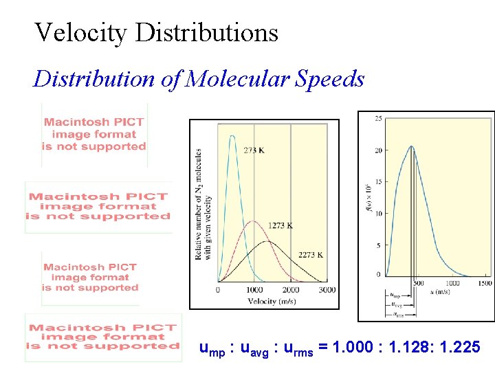 Velocity Distributions Distribution of Molecular Speeds ump : uavg : urms = 1. 000