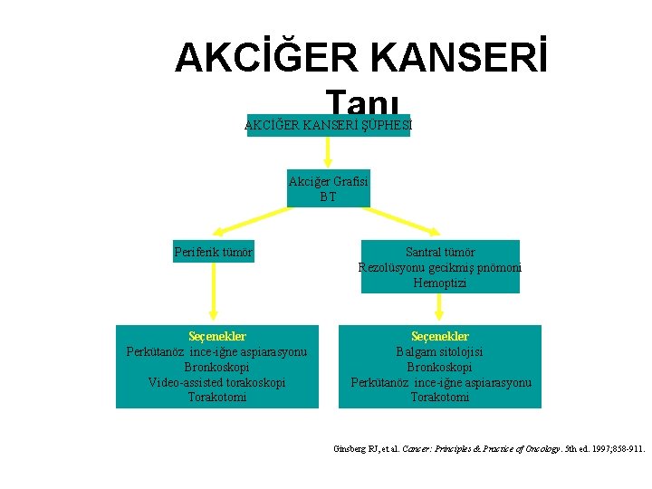 AKCİĞER KANSERİ Tanı AKCİĞER KANSERİ ŞÜPHESİ Akciğer Grafisi BT Periferik tümör Santral tümör Rezolüsyonu