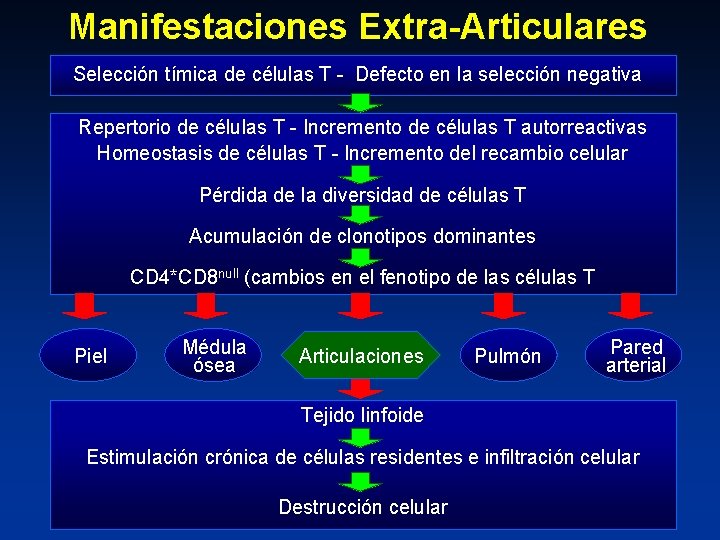 Manifestaciones Extra-Articulares Selección tímica de células T - Defecto en la selección negativa Repertorio