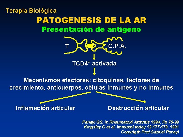 Terapia Biológica PATOGENESIS DE LA AR Presentación de antígeno C. P. A. T TCD
