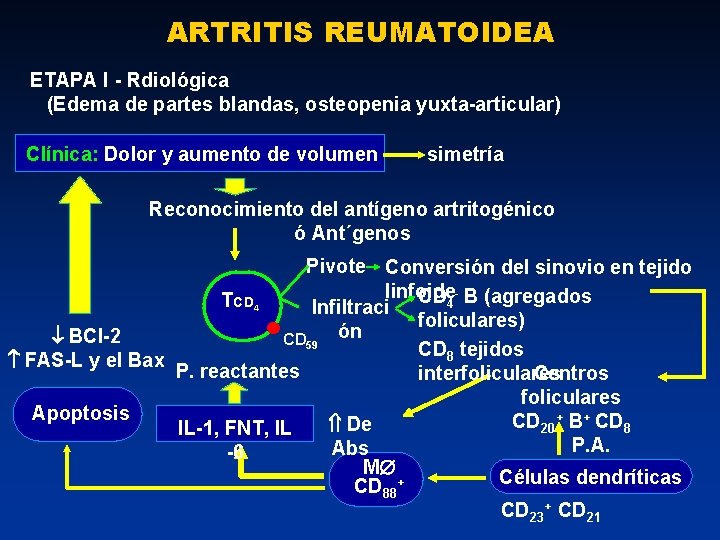 ARTRITIS REUMATOIDEA ETAPA I - Rdiológica (Edema de partes blandas, osteopenia yuxta-articular) Clínica: Dolor