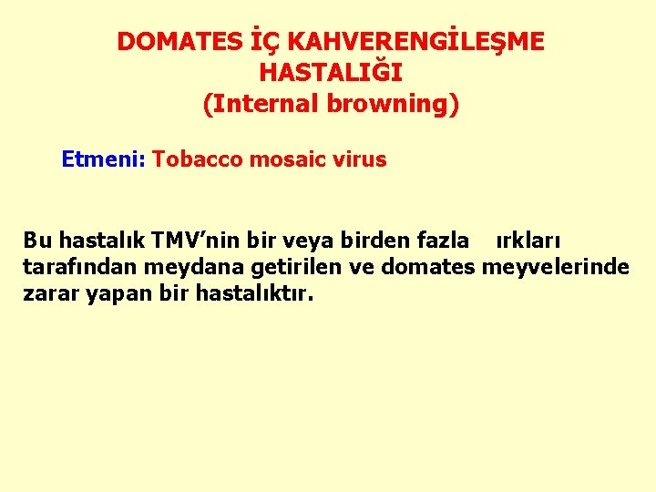 DOMATES İÇ KAHVERENGİLEŞME HASTALIĞI (Internal browning) Etmeni: Tobacco mosaic virus Bu hastalık TMV’nin bir