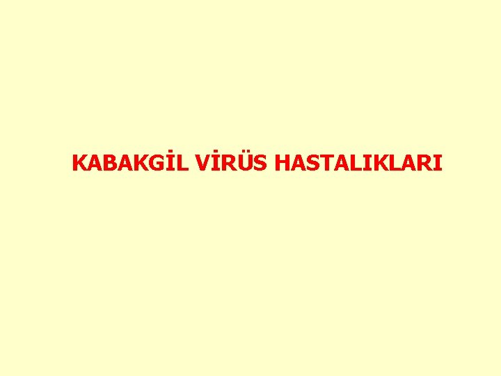 KABAKGİL VİRÜS HASTALIKLARI 