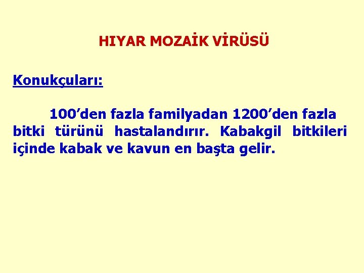 HIYAR MOZAİK VİRÜSÜ Konukçuları: 100’den fazla familyadan 1200’den fazla bitki türünü hastalandırır. Kabakgil bitkileri