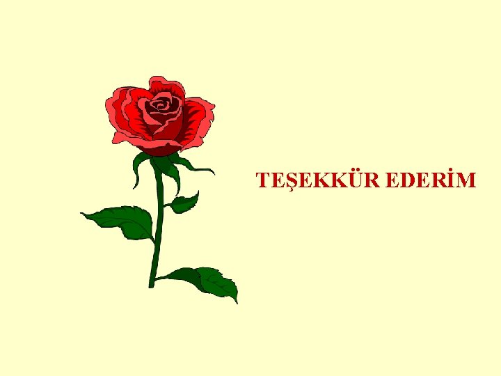 TEŞEKKÜR EDERİM 