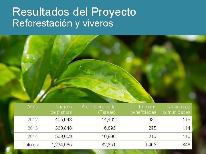 Resultados del Proyecto Reforestación y viveros Años Número de plantas Área reforestada (Tareas) Familias