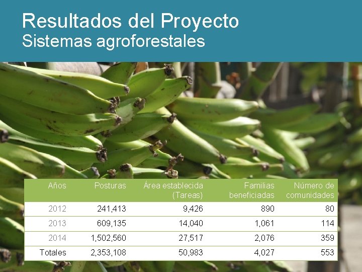 Resultados del Proyecto Sistemas agroforestales Años Posturas Área establecida (Tareas) Familias beneficiadas Número de