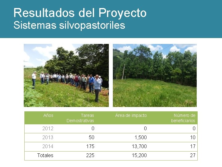 Resultados del Proyecto Sistemas silvopastoriles Años Tareas Demostrativas Área de impacto Número de beneficiarios