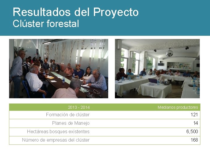 Resultados del Proyecto Clúster forestal 2013 - 2014 Medianos productores Formación de clúster 121