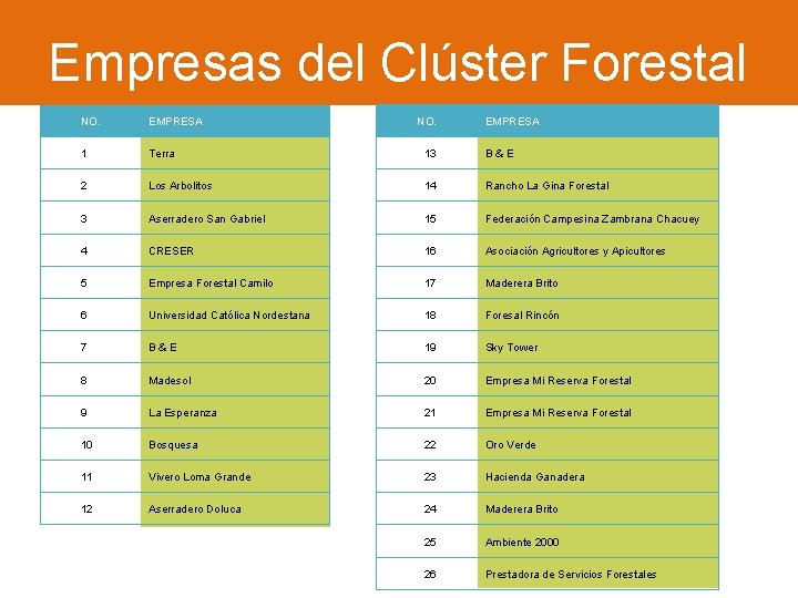 Empresas del Clúster Forestal NO. EMPRESA 1 Terra 13 B&E 2 Los Arbolitos 14