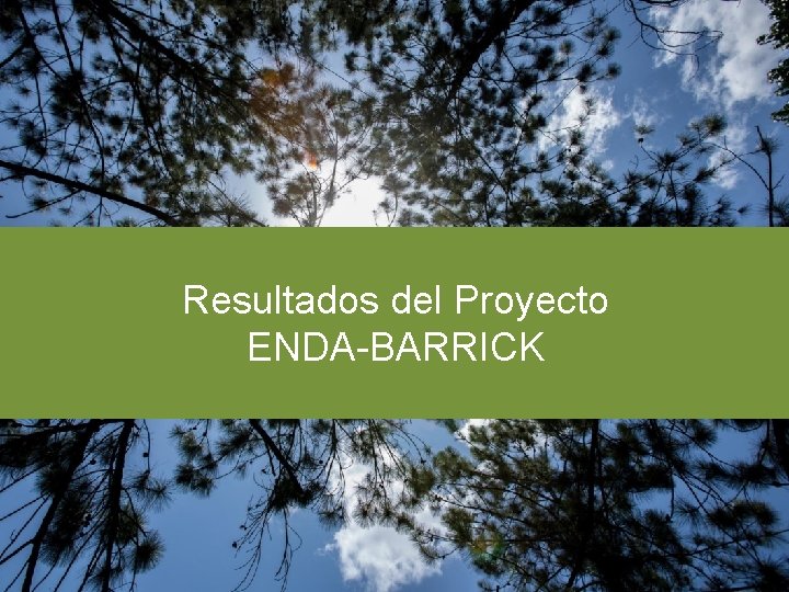 Resultados del Proyecto ENDA-BARRICK 