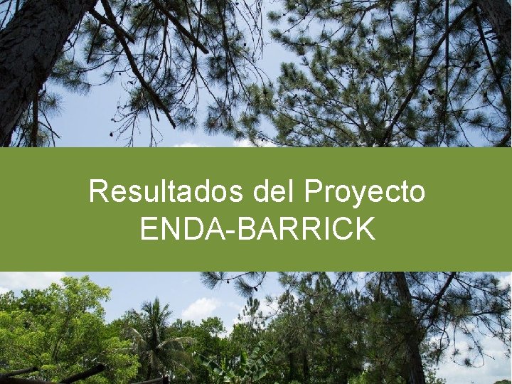 Resultados del Proyecto ENDA-BARRICK 