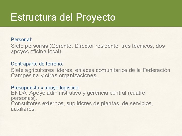 Estructura del Proyecto Personal: Siete personas (Gerente, Director residente, tres técnicos, dos apoyos oficina