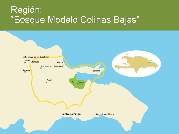Región: “Bosque Modelo Colinas Bajas” 