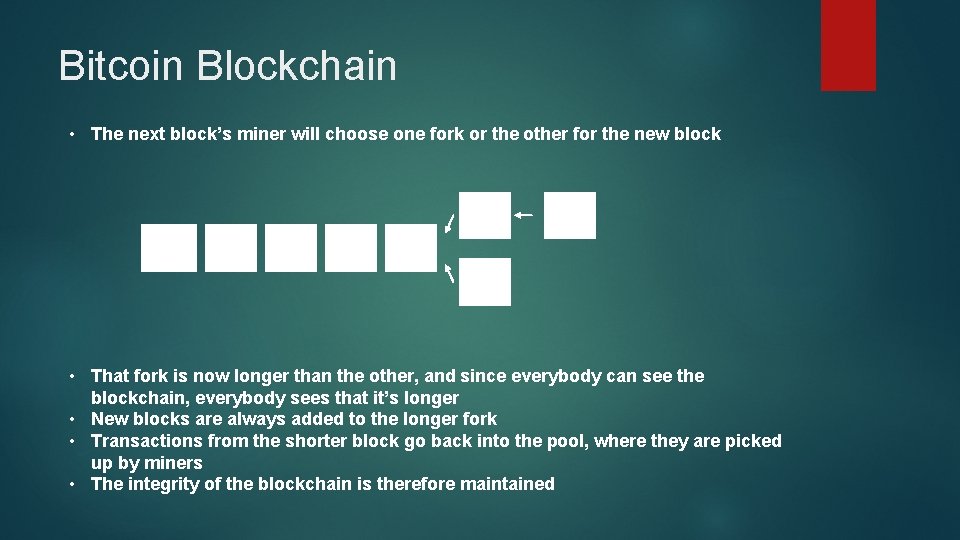 Bitcoin Blockchain • The next block’s miner will choose one fork or the other