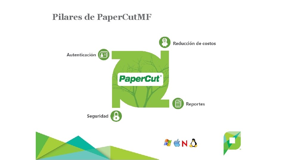 Pilares de Paper. Cut. MF 