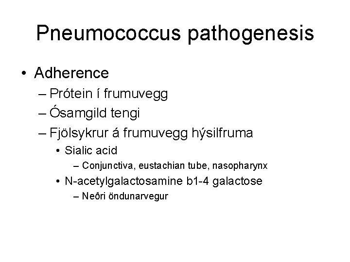 Pneumococcus pathogenesis • Adherence – Prótein í frumuvegg – Ósamgild tengi – Fjölsykrur á