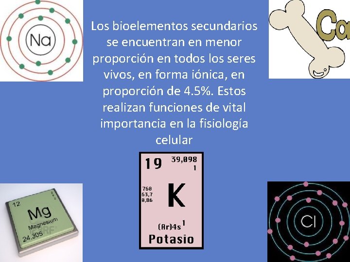 Los bioelementos secundarios se encuentran en menor proporción en todos los seres vivos, en