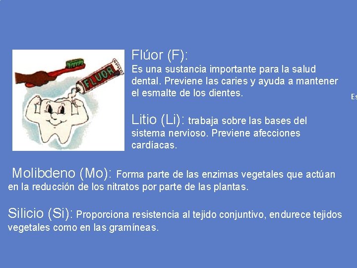 Flúor (F): Es una sustancia importante para la salud dental. Previene las caries y