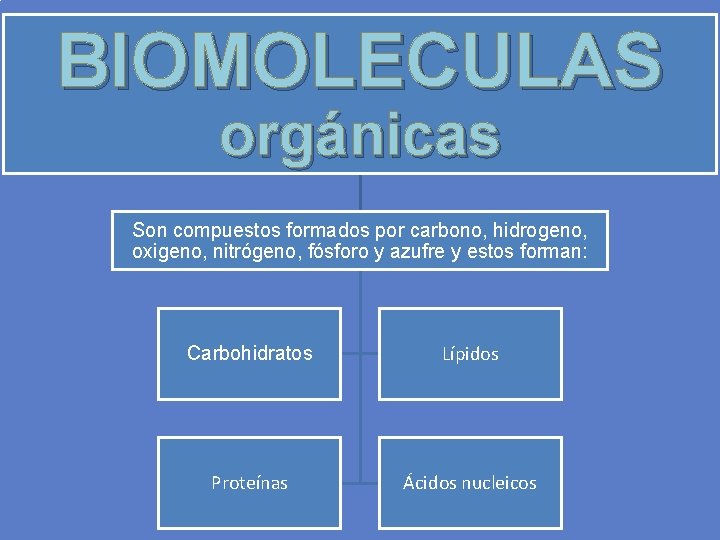 BIOMOLECULAS orgánicas Son compuestos formados por carbono, hidrogeno, oxigeno, nitrógeno, fósforo y azufre y