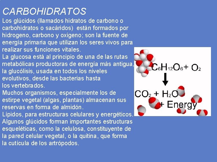 CARBOHIDRATOS Los glúcidos (llamados hidratos de carbono o carbohidratos o sacáridos) están formados por