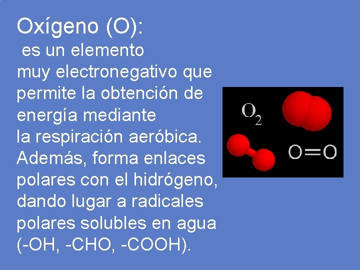 Oxígeno (O): es un elemento muy electronegativo que permite la obtención de energía mediante