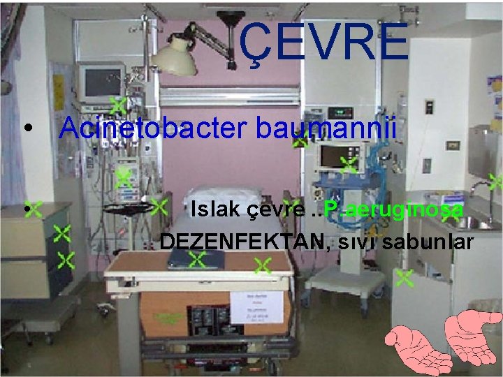 ÇEVRE • Acinetobacter baumannii • Islak çevre. . P. aeruginosa DEZENFEKTAN, sıvı sabunlar 